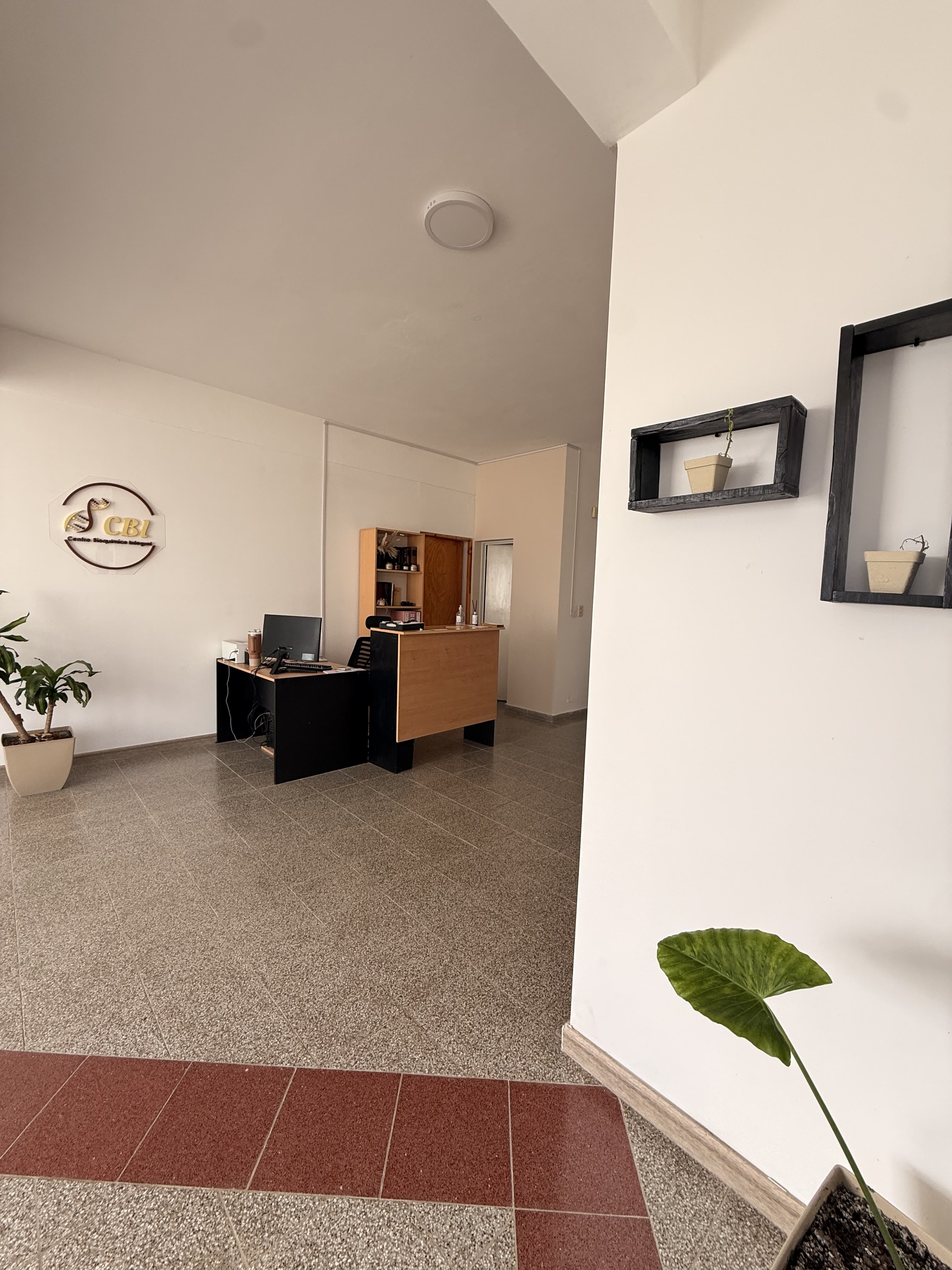 Sector de recepción y atención al paciente — CBI Viale